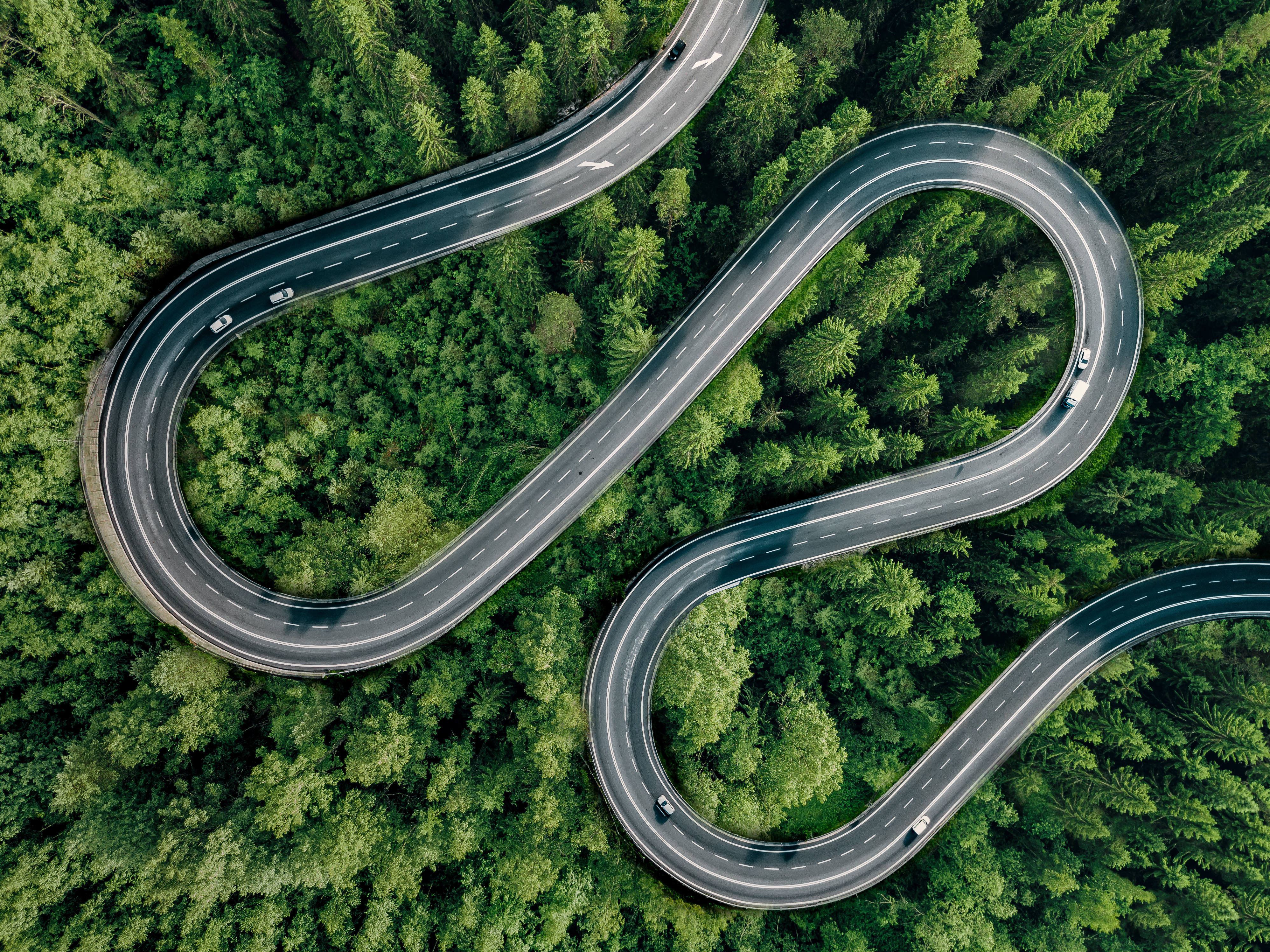 Vehicles driving along a twisty road in a forest