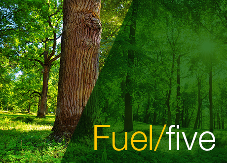 Fuel/five: 5 ways we’re reducing our environmental impact