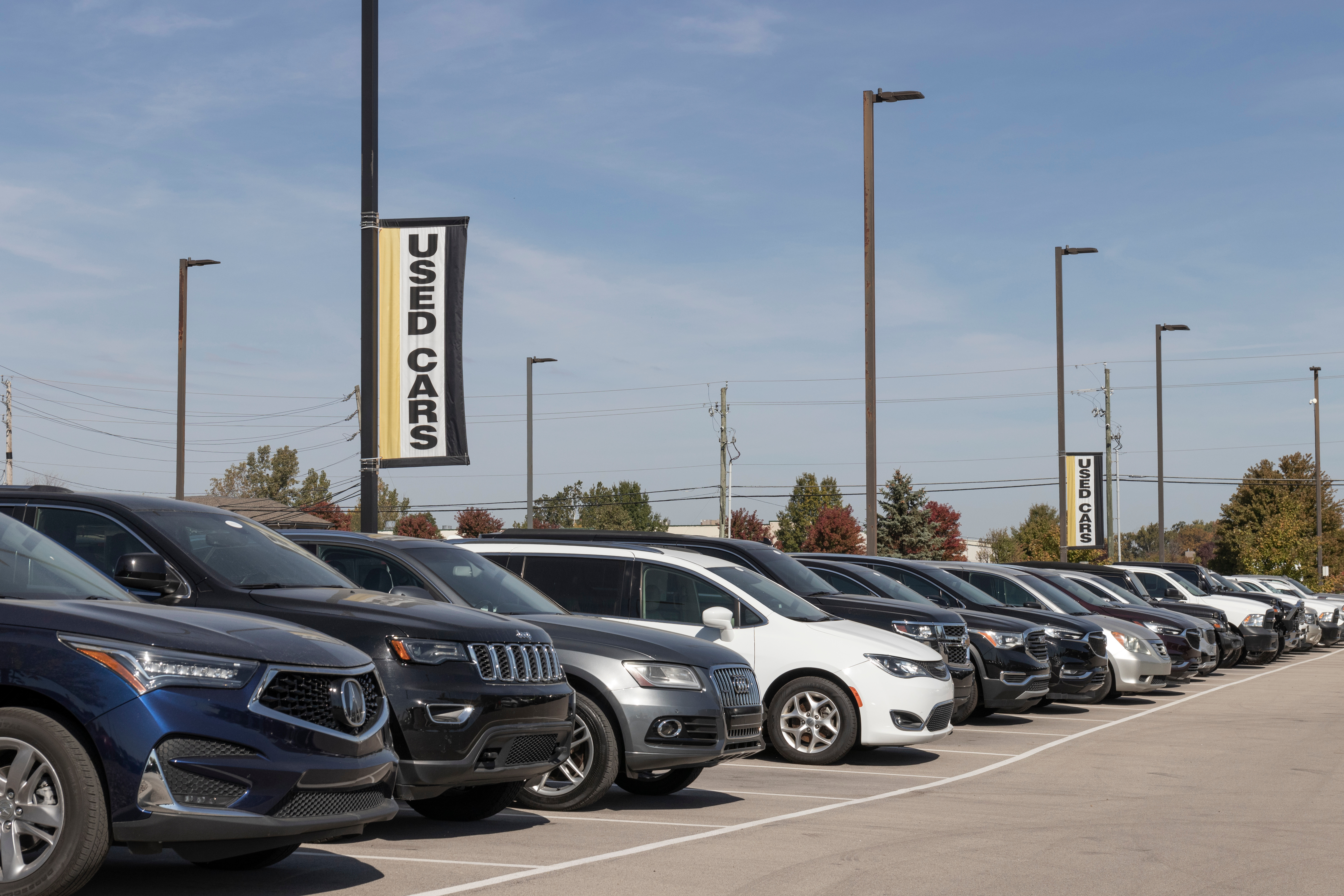 used cars in dealership