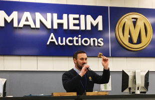 Man at auction