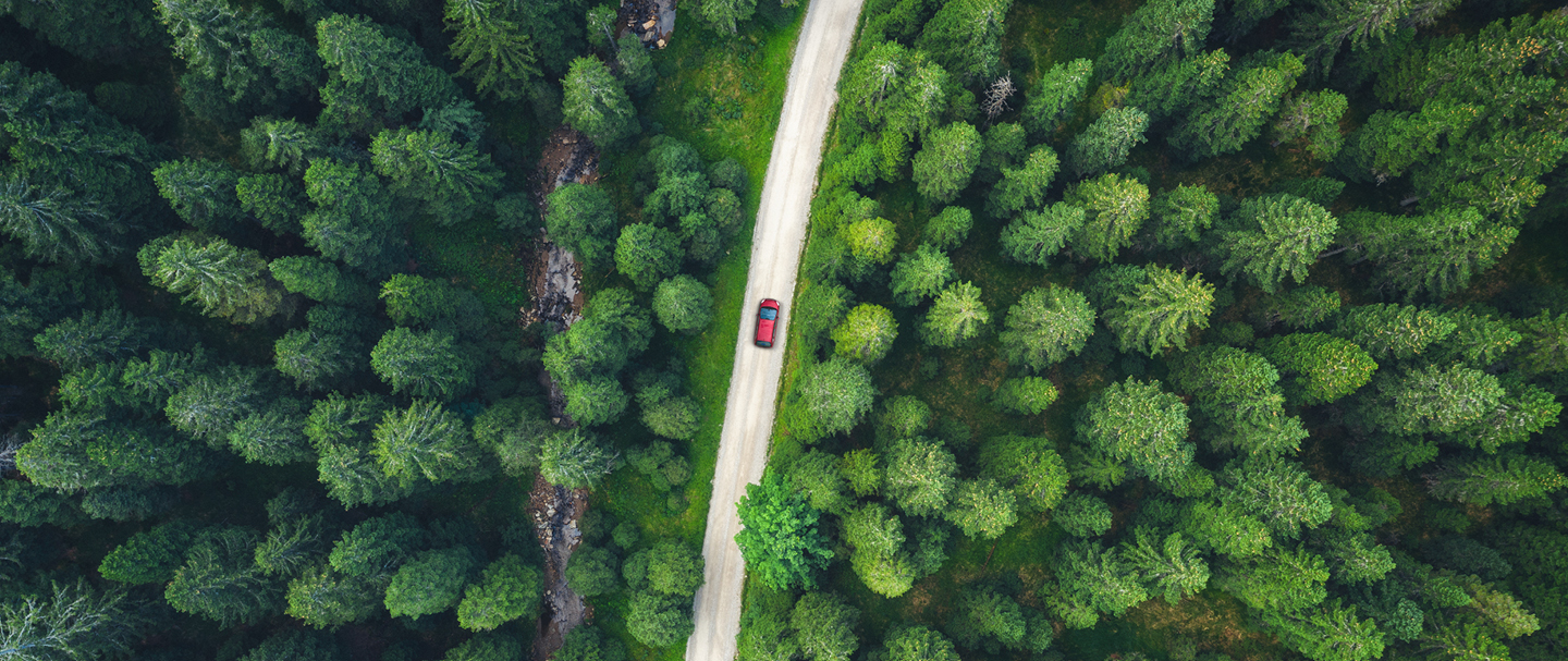 Aerial shot of red car on country road